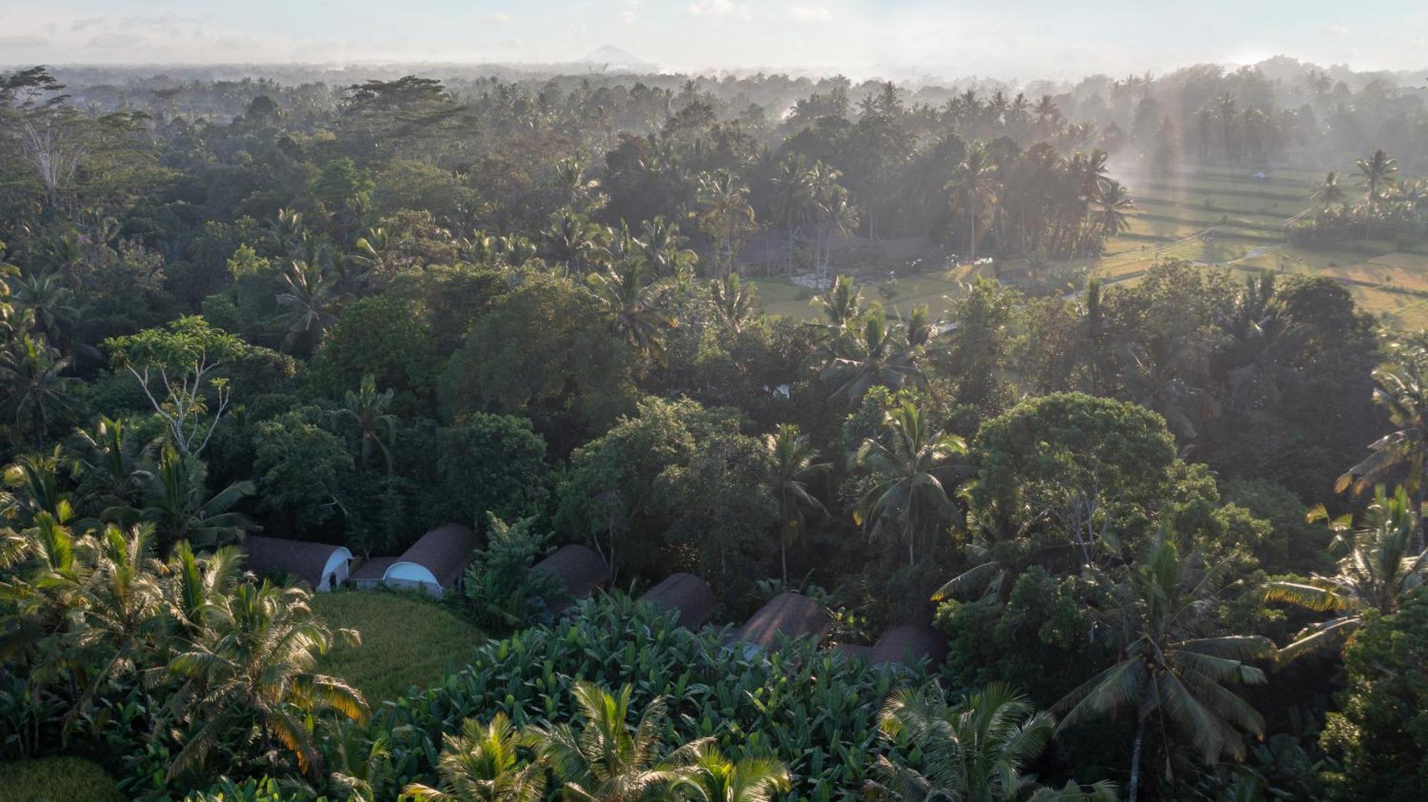 Sacred Canyon Ubud By Pramana Villas Payangan Exterior photo
